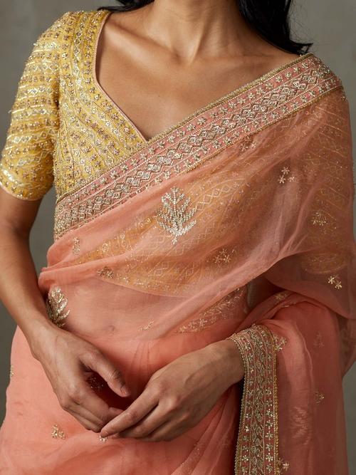 Coral Sterling Saree With Stitched Blouse - Image 2
